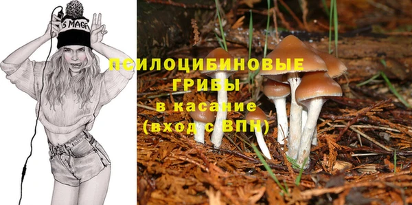 хмурый Абдулино